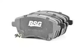 BSG 40-200-008 BSG   ,  